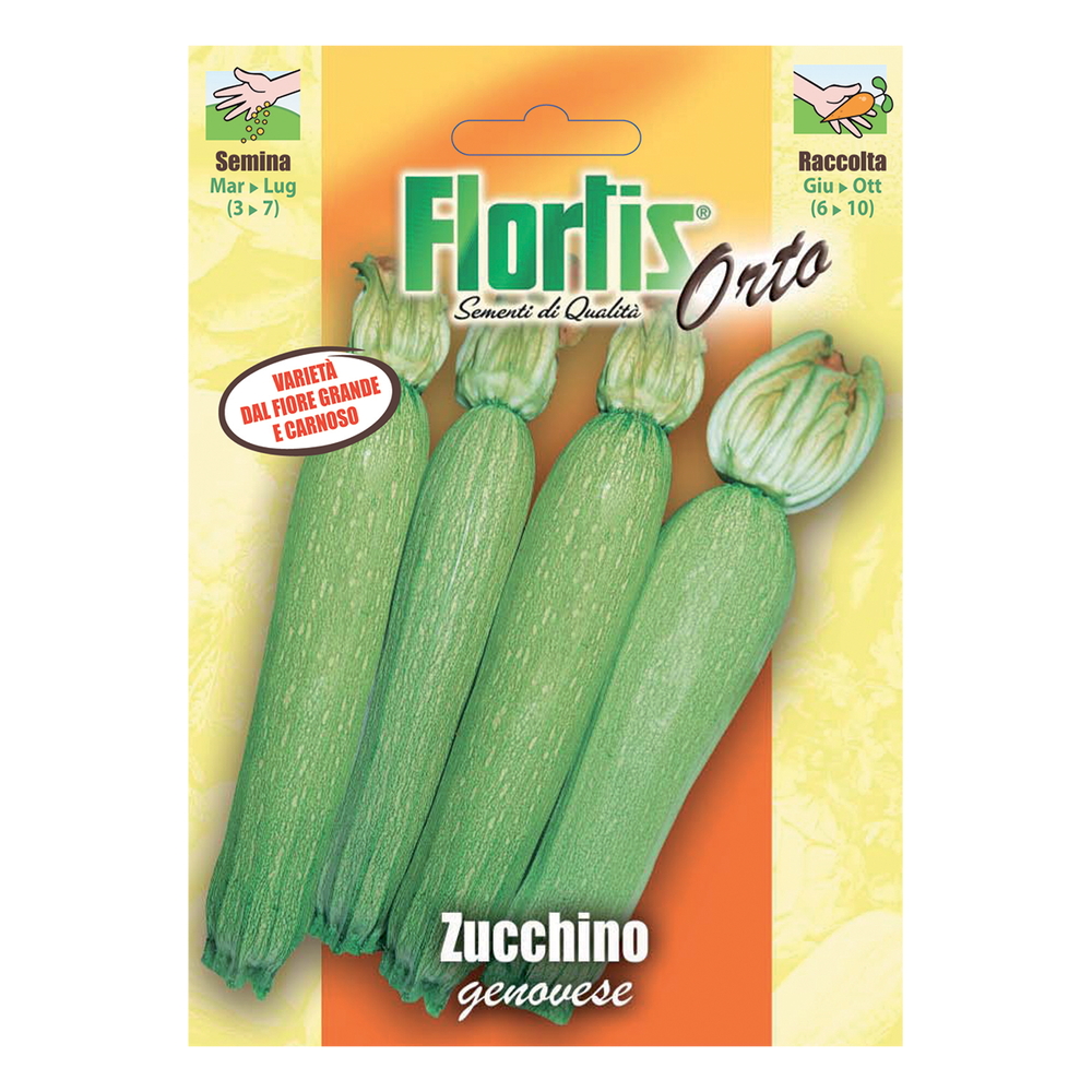 ZUCCHINO GENOVESE